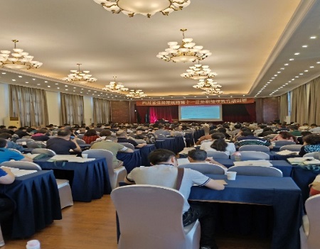 足球现场直播比分