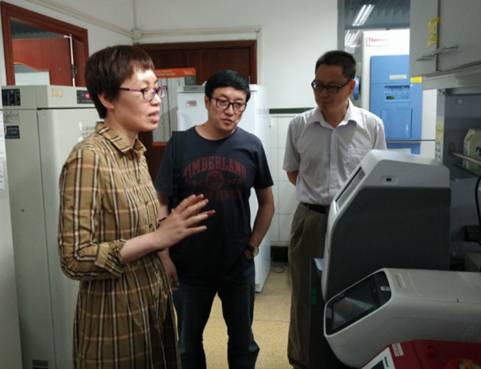 足球现场直播比分