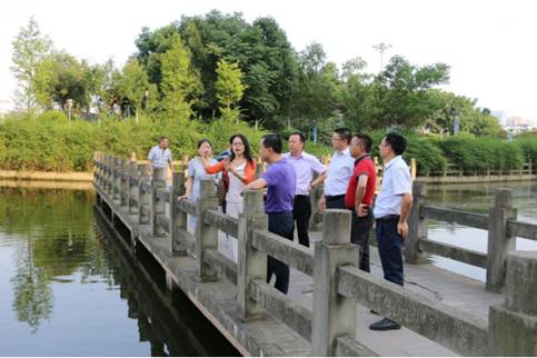 足球现场直播比分