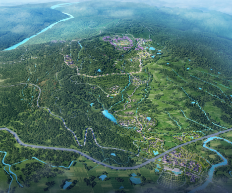 足球现场直播比分