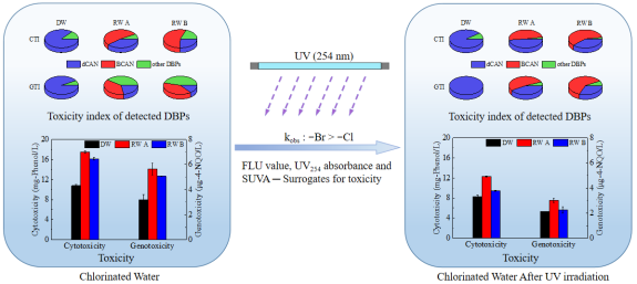 足球现场直播比分