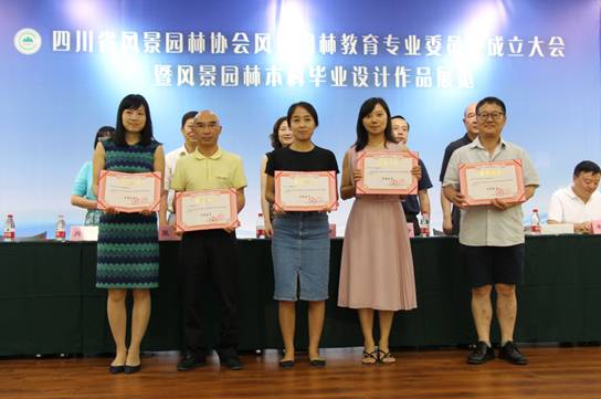 足球现场直播比分