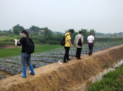 足球现场直播比分