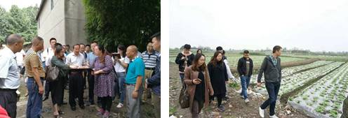 足球现场直播比分