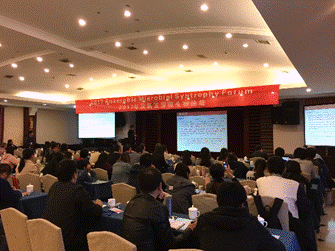 足球现场直播比分