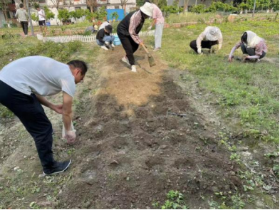 足球现场直播比分