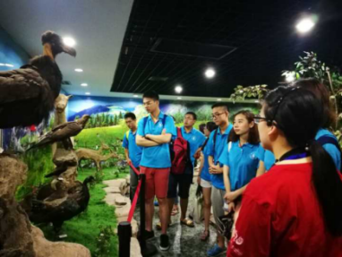 足球现场直播比分