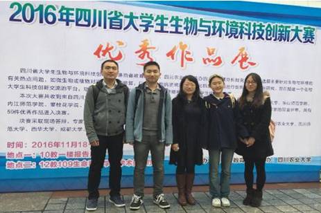 足球现场直播比分