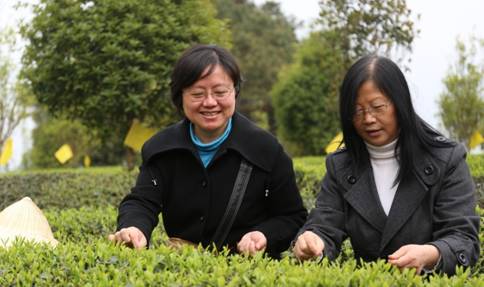 足球现场直播比分