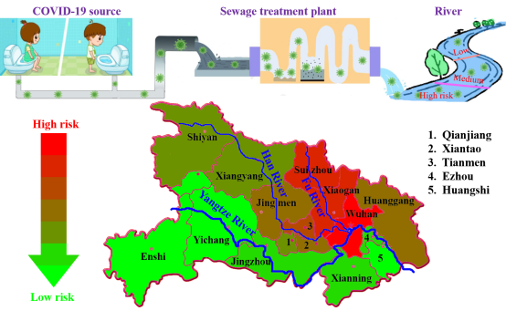 足球现场直播比分