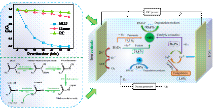 足球现场直播比分