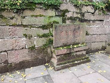 足球现场直播比分