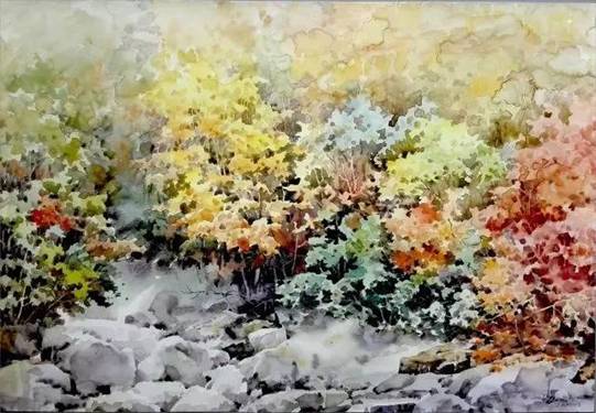 足球现场直播比分