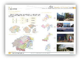 足球现场直播比分