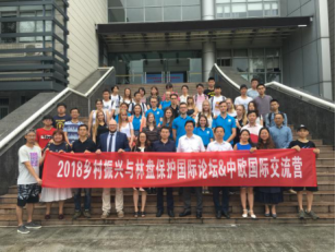 足球现场直播比分