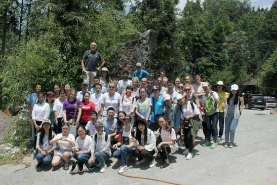 足球现场直播比分