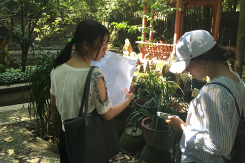 足球现场直播比分