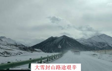 足球现场直播比分