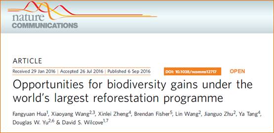 足球现场直播比分