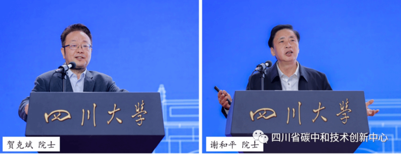 足球现场直播比分