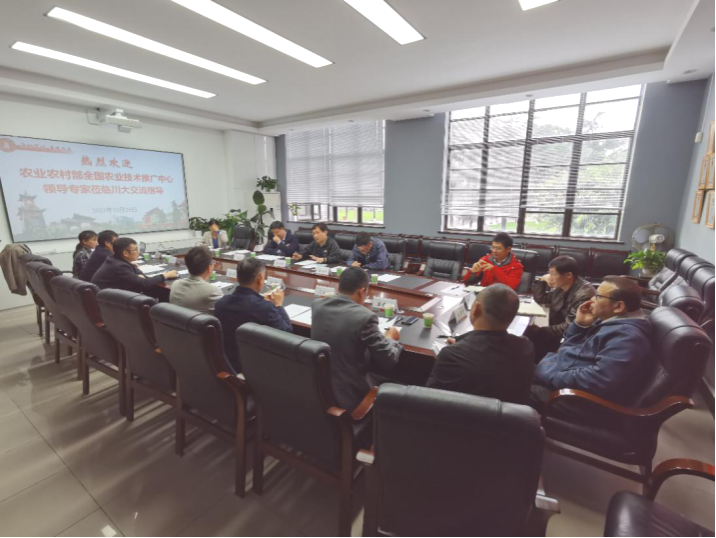 足球现场直播比分