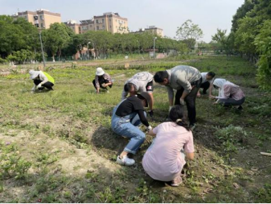 足球现场直播比分