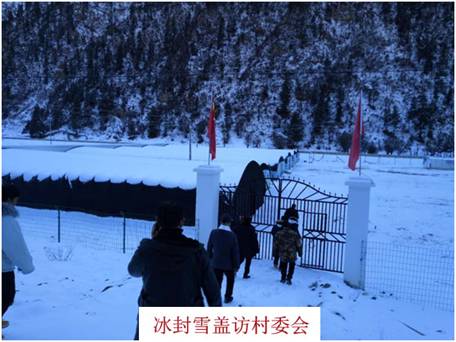 足球现场直播比分