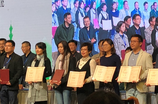 足球现场直播比分