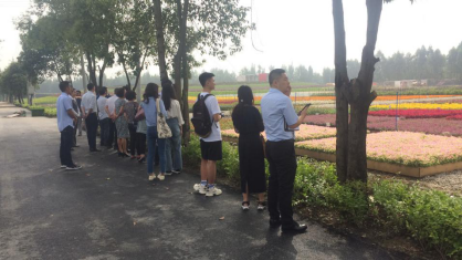 足球现场直播比分