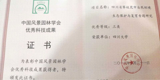 足球现场直播比分