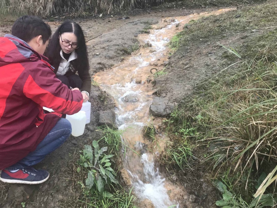 足球现场直播比分