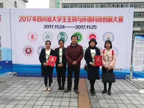 足球现场直播比分