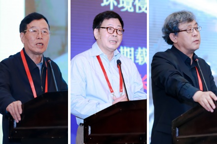 足球现场直播比分