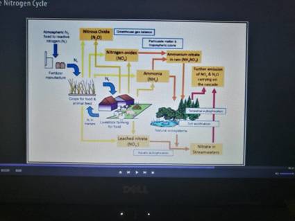 足球现场直播比分