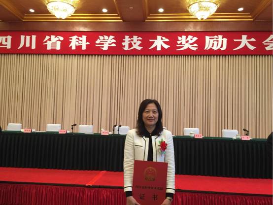 足球现场直播比分