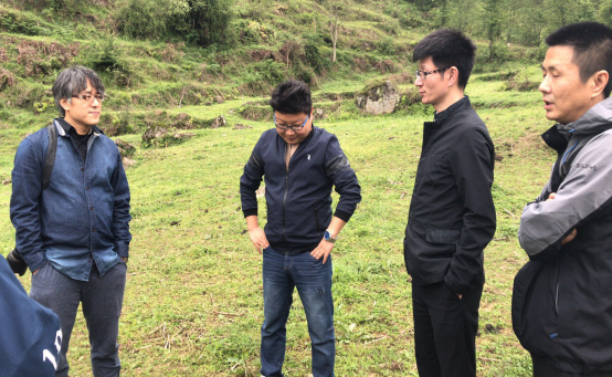 足球现场直播比分