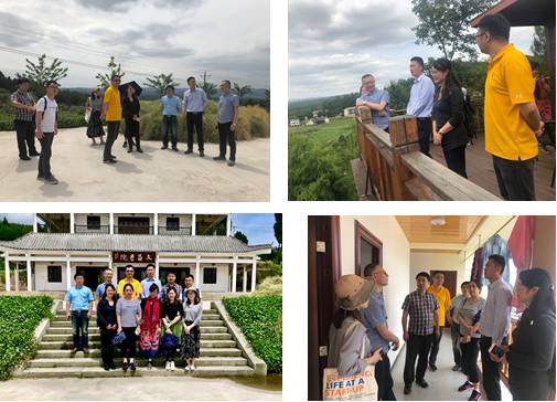 足球现场直播比分