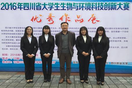 足球现场直播比分