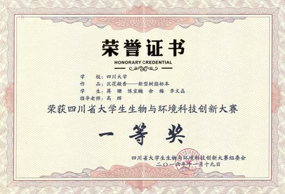 足球现场直播比分