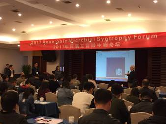 足球现场直播比分