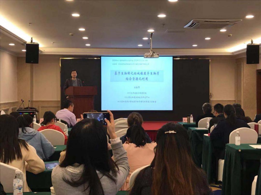 足球现场直播比分