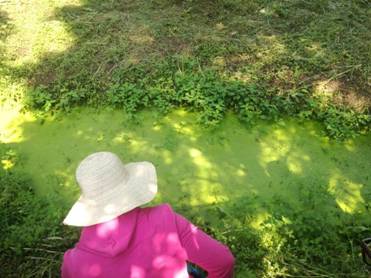 足球现场直播比分