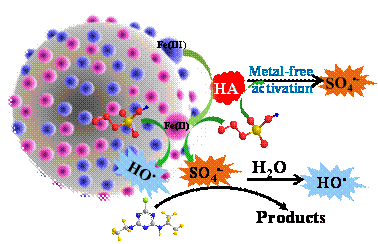 足球现场直播比分