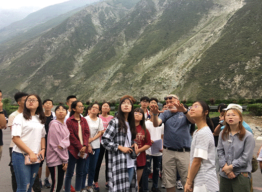 足球现场直播比分