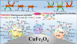 足球现场直播比分