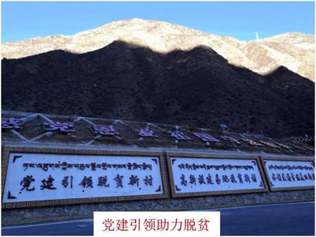 足球现场直播比分