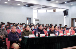 足球现场直播比分