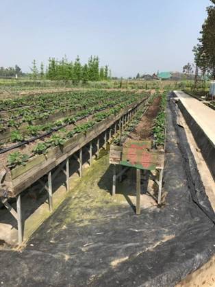 足球现场直播比分