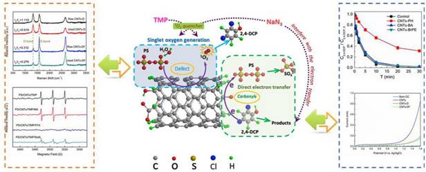 足球现场直播比分