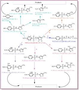 足球现场直播比分